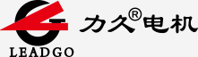 山东力久特种电机股份有限公司